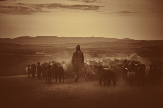 The Shepherd and His Sheep